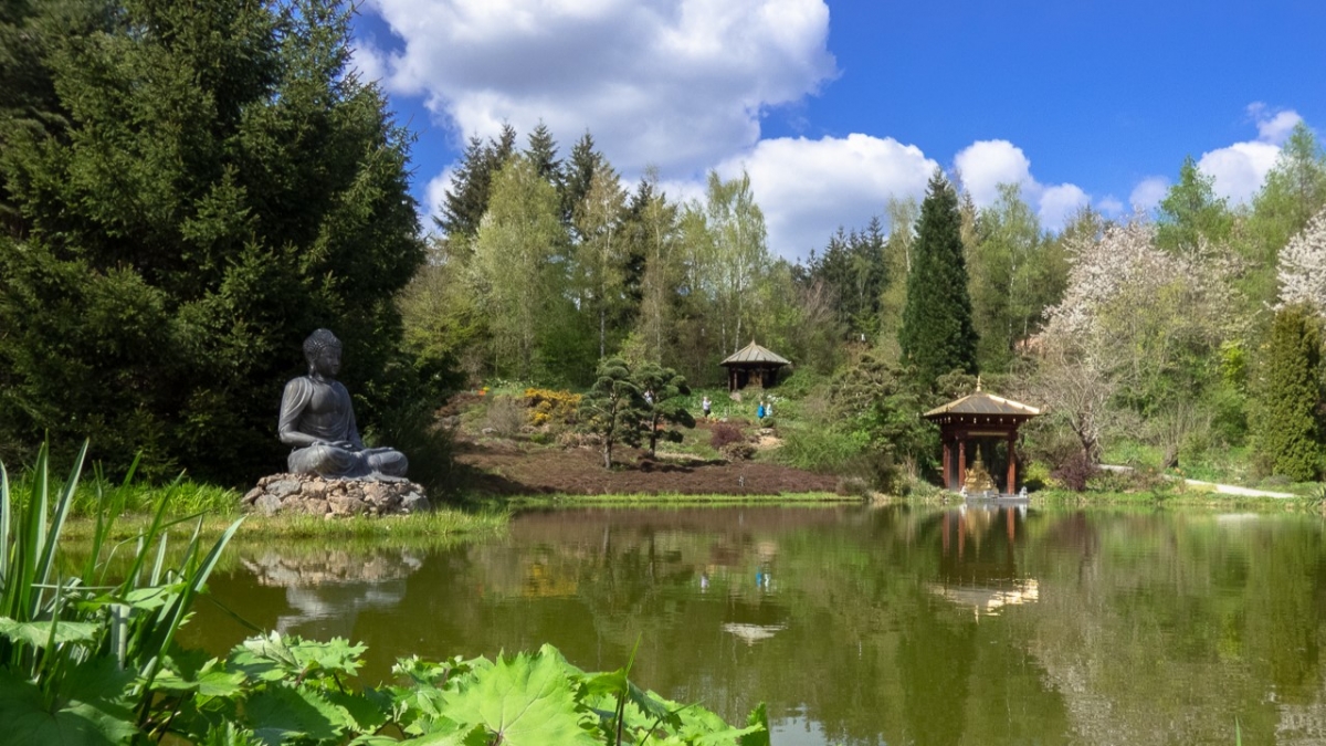 Rozw&oacute;j MCCCXLVIII