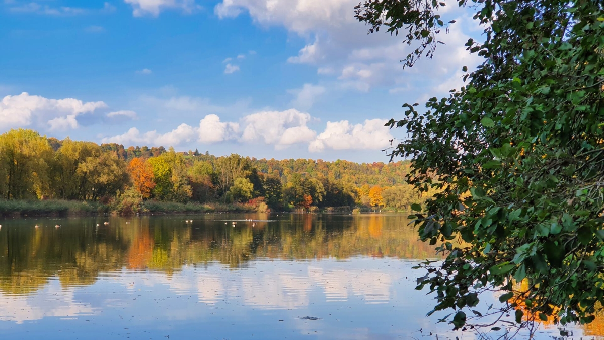 Rozw&oacute;j MDXXXV