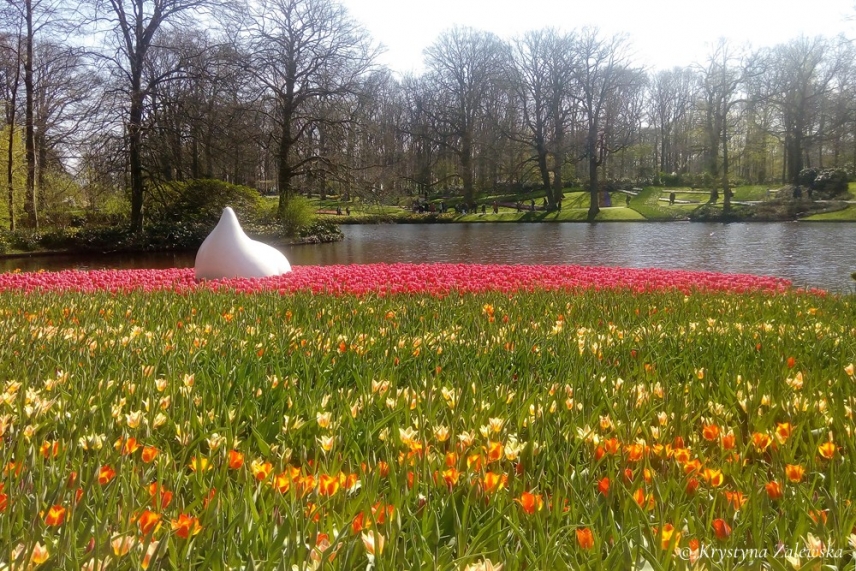 Rozw&oacute;j XCVIII