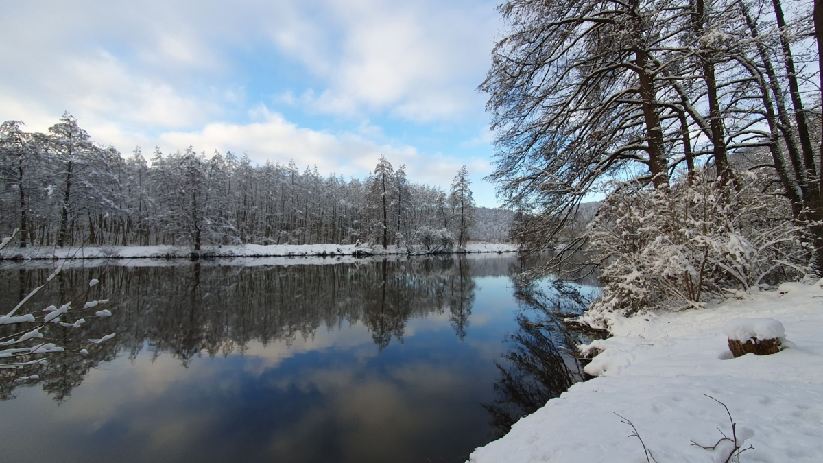 Rozw&oacute;j MDXLVIII