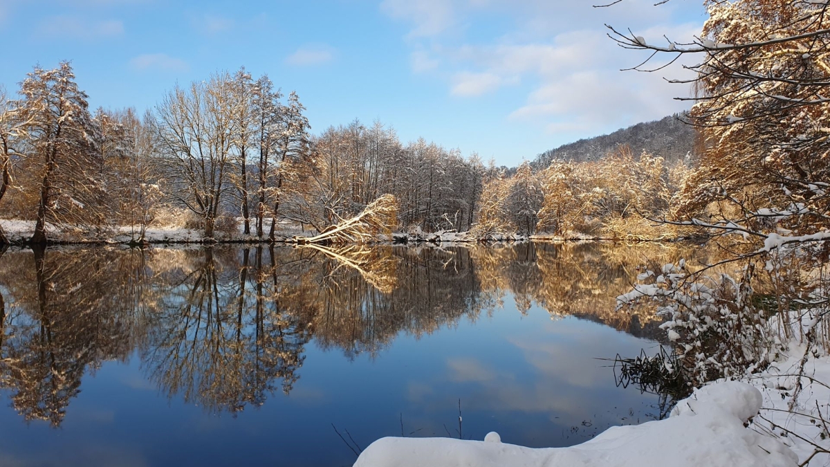 Rozw&oacute;j MDXLII