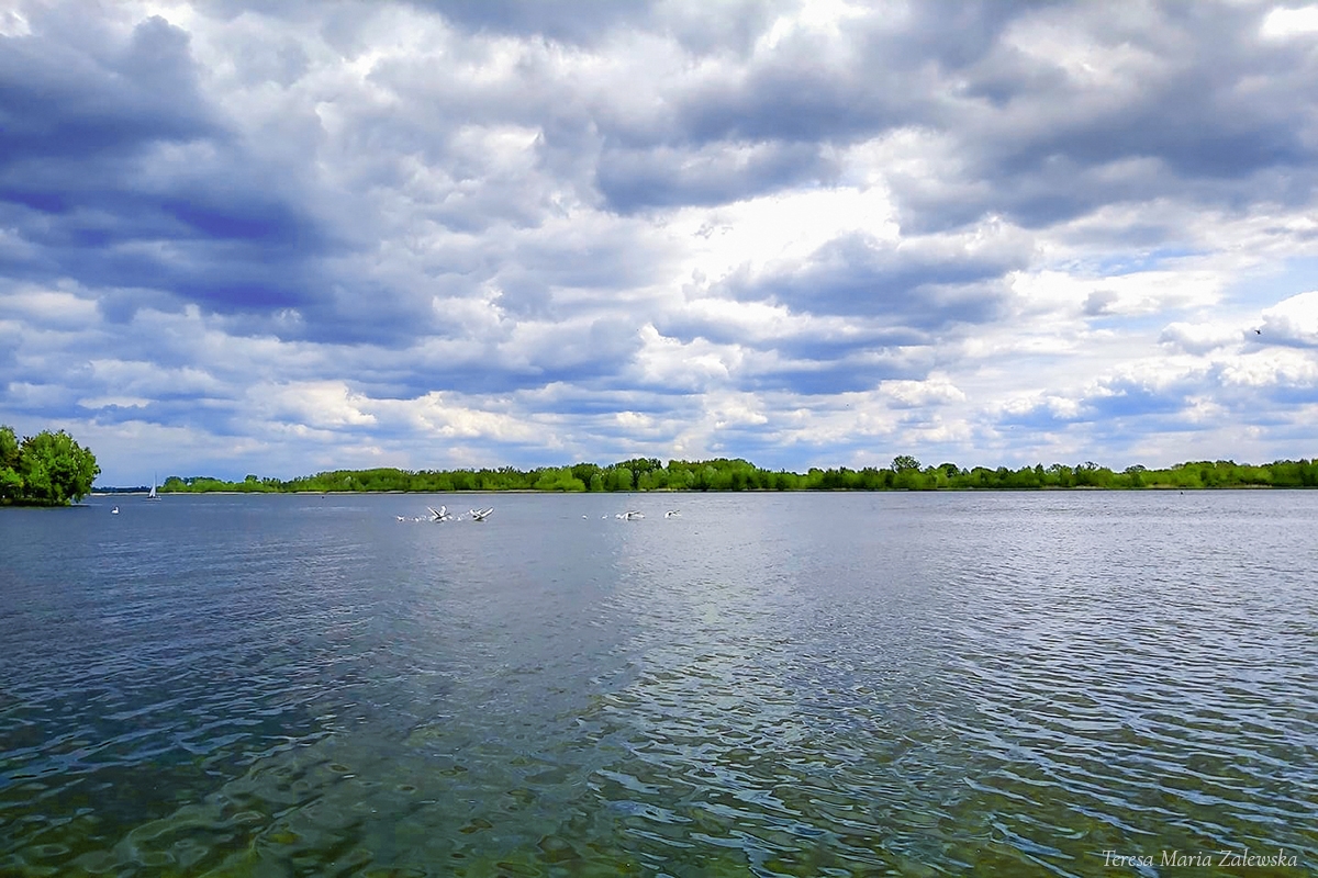 Rozw&oacute;j DCCXXIII