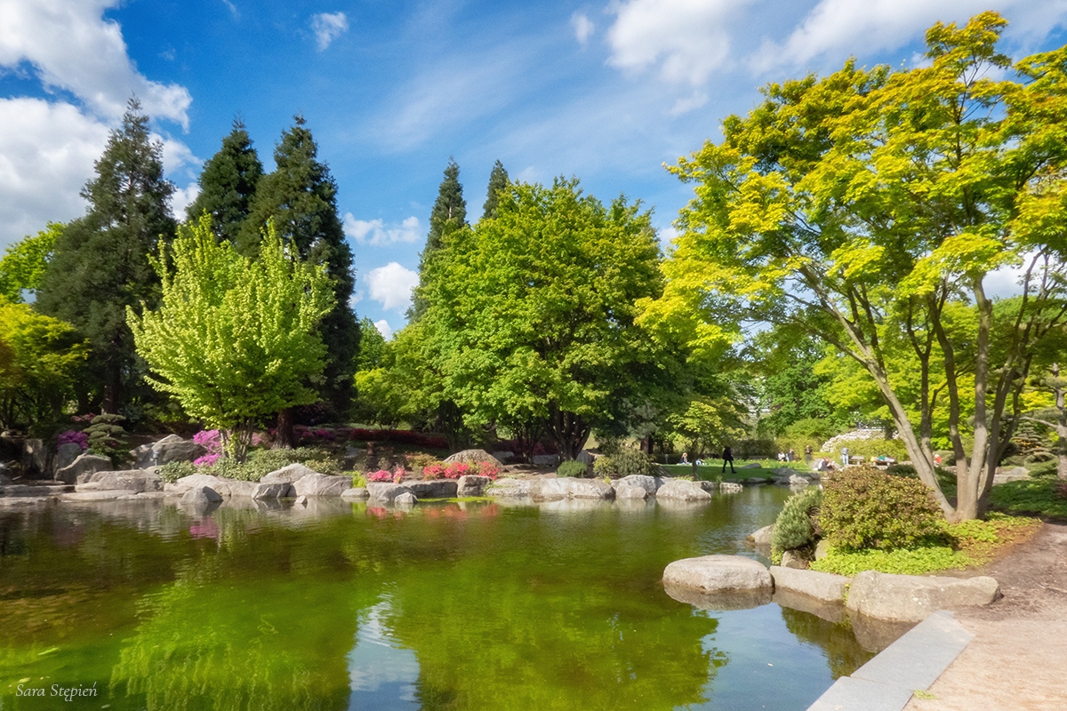 Rozw&oacute;j DCCXXXIII