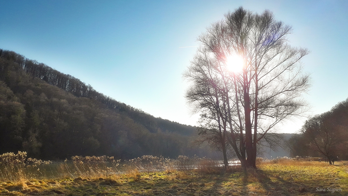 Rozw&oacute;j MLXXXI