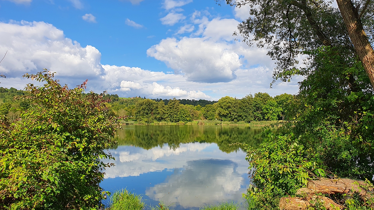 Rozw&oacute;j MCCCII