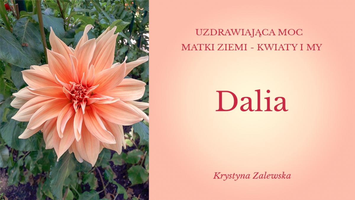 Uzdrawiająca moc Matki Ziemi - Kwiaty i my IX