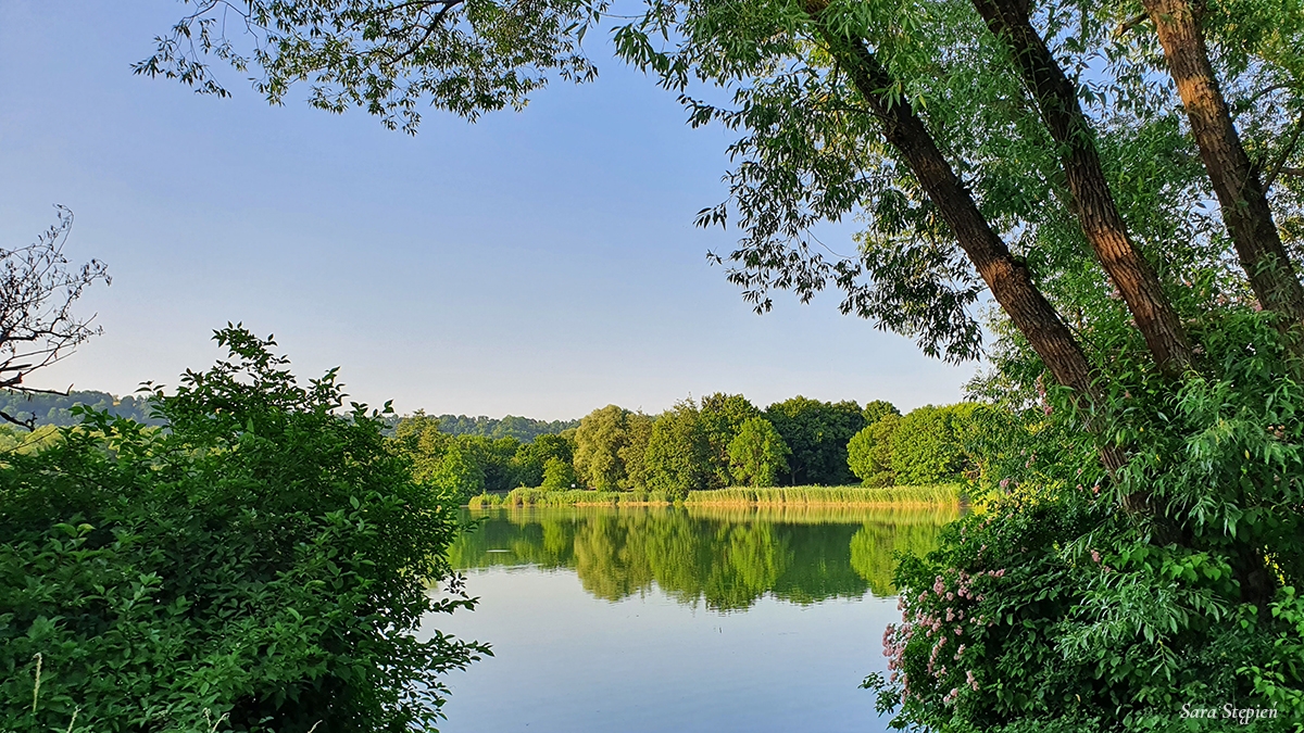 Rozw&oacute;j MCCXXXV