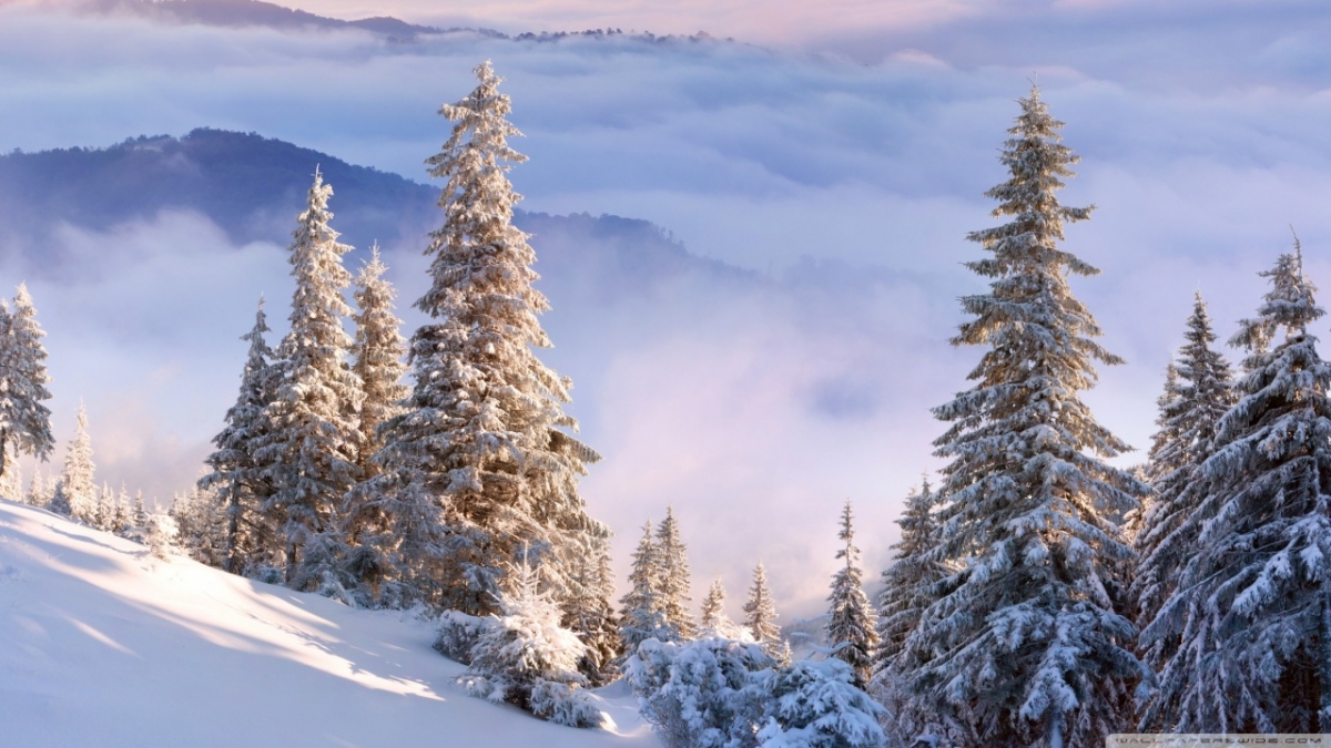 Rozw&oacute;j DCCCXCIV