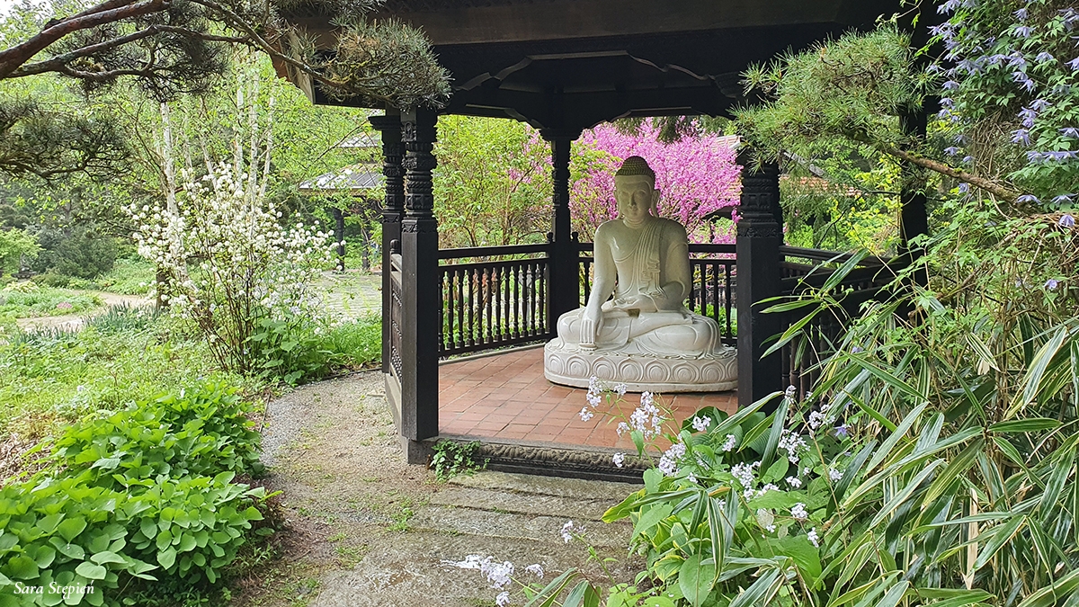 Rozw&oacute;j MCXXIII