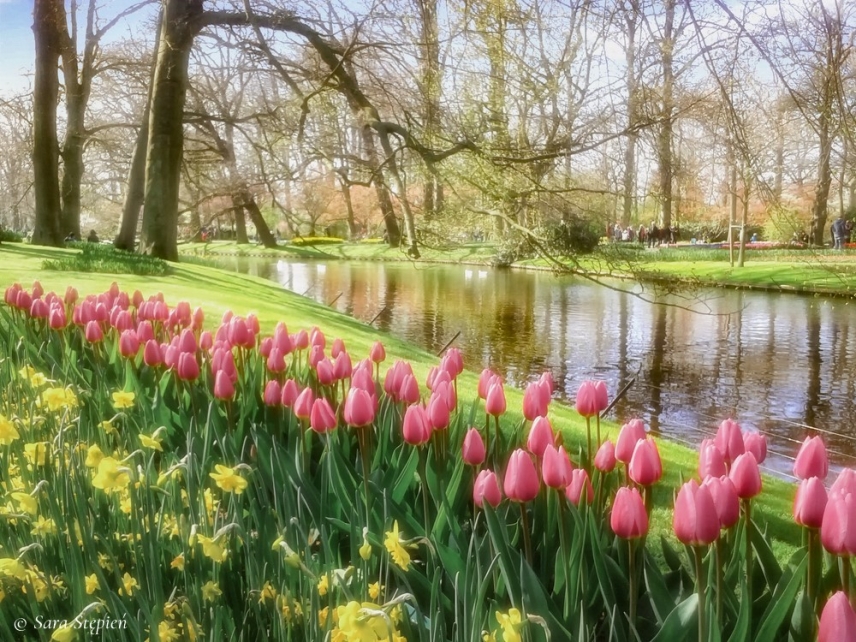 Rozw&oacute;j CCLXXVII