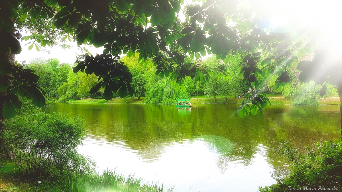 Rozw&oacute;j CMLXXIII