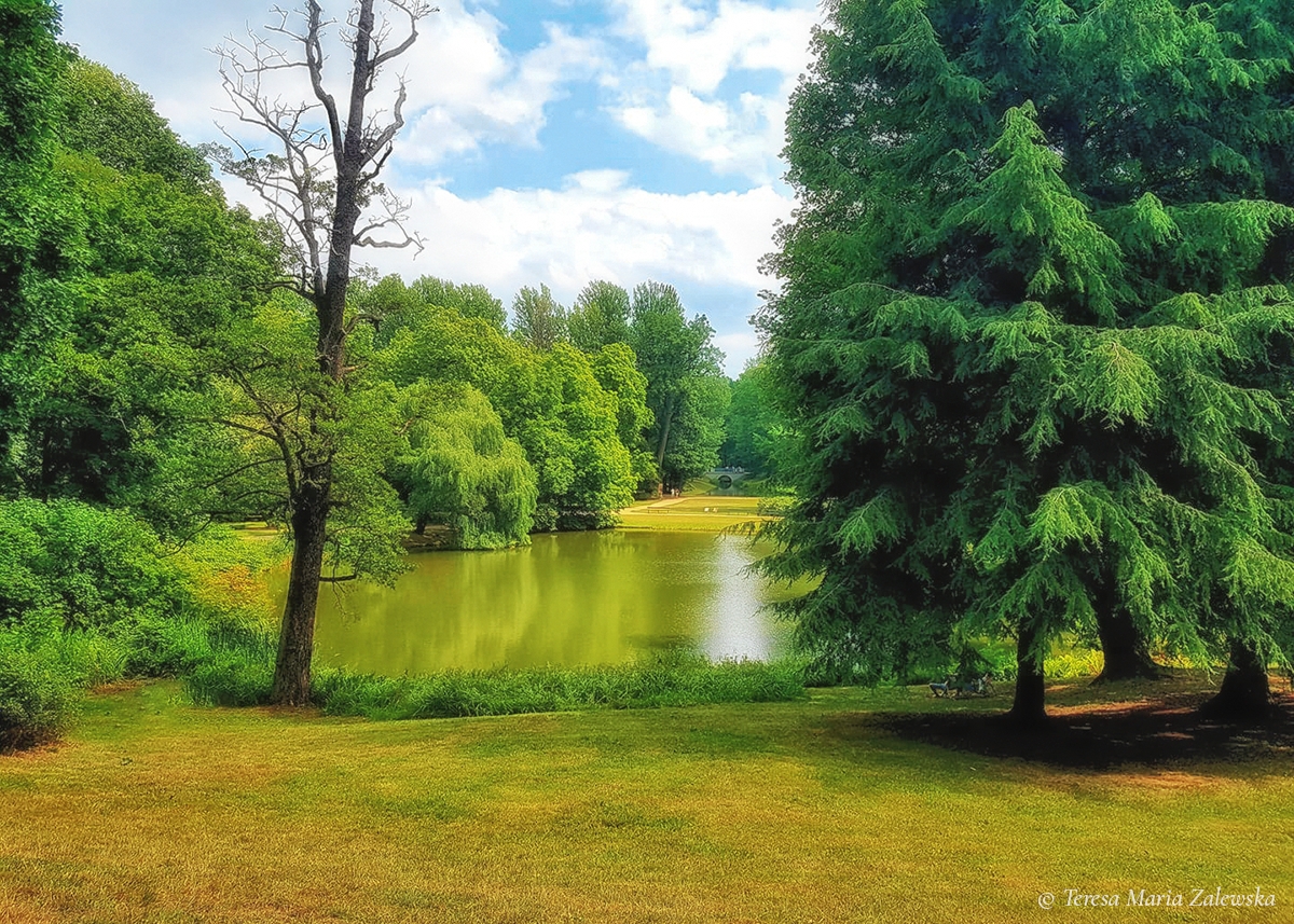 Rozw&oacute;j DLXXXIX