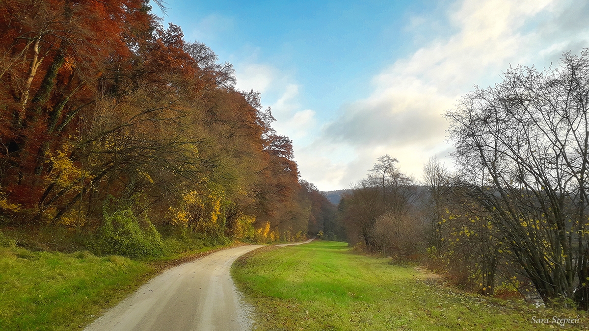 Rozw&oacute;j MXXXVIII