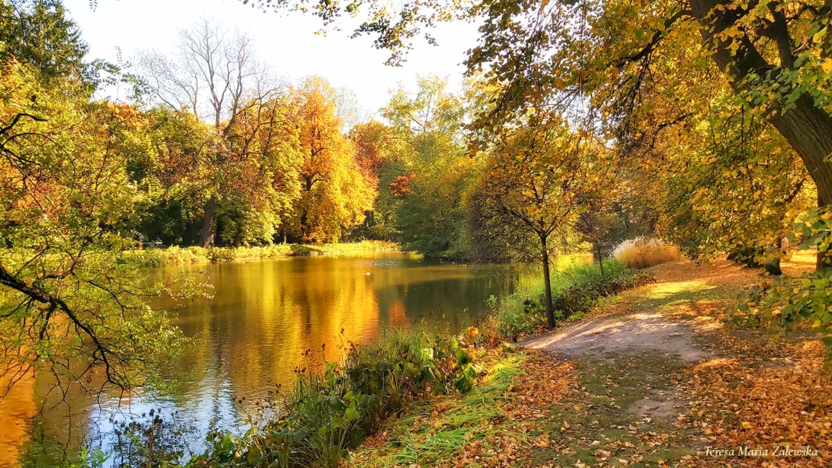 Rozw&oacute;j MXXVIII