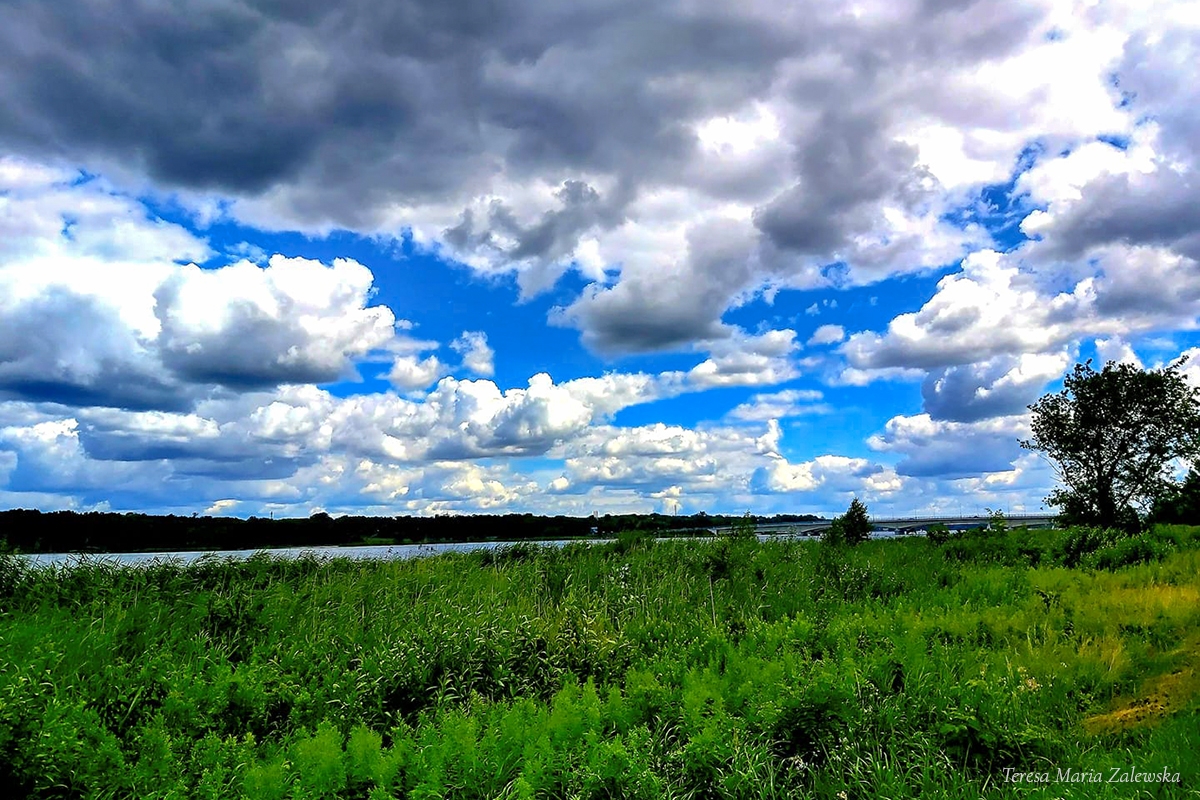 Rozw&oacute;j DCCXXVI